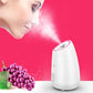 Face steamer milk whitening hydrating spray - Jinoutlet